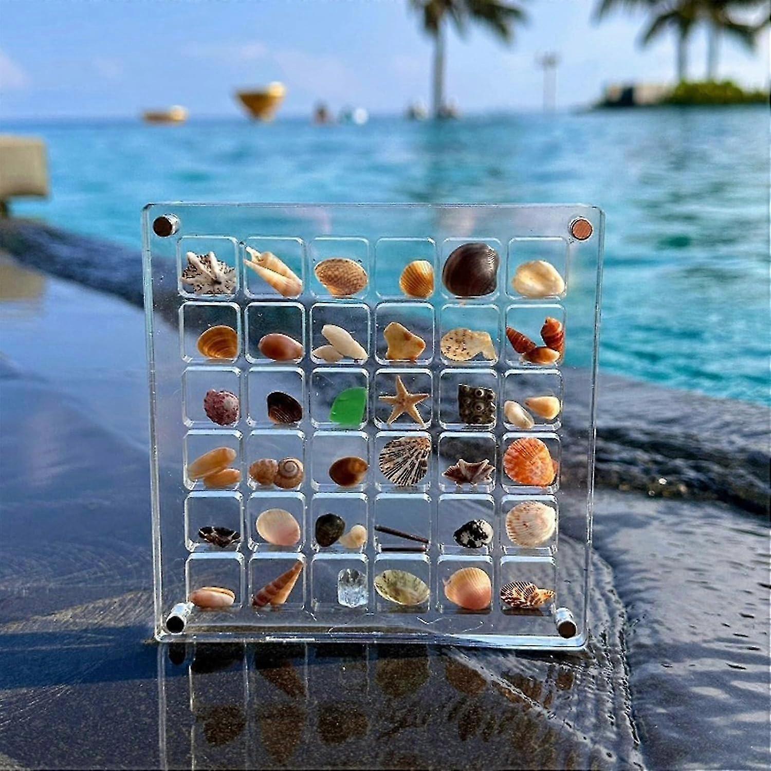 Acrylic Magnetic Seashell Display Box, 36/73 Grids, Stackable, for Small Crafts Storage