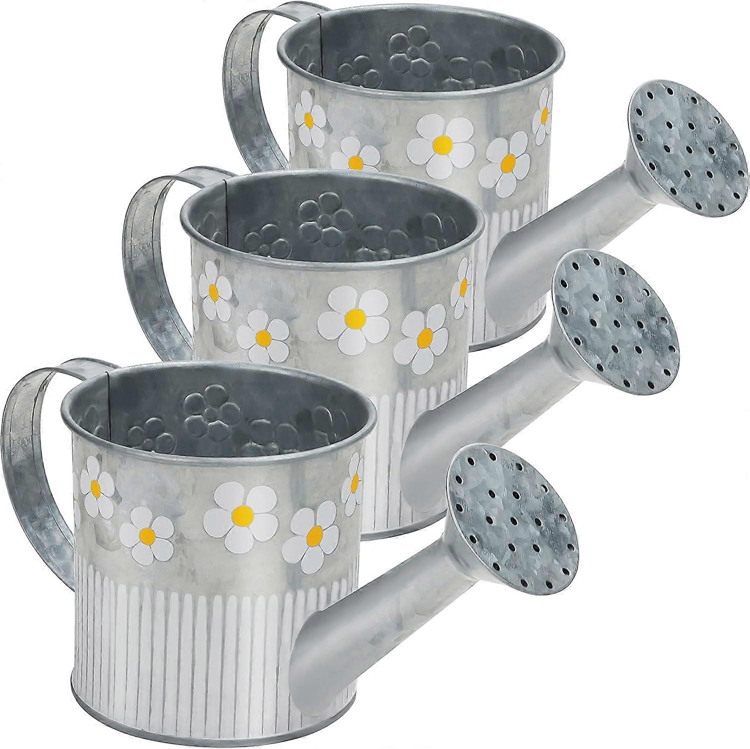 Decorative silver metal watering can (set of 3) with handle and spout
