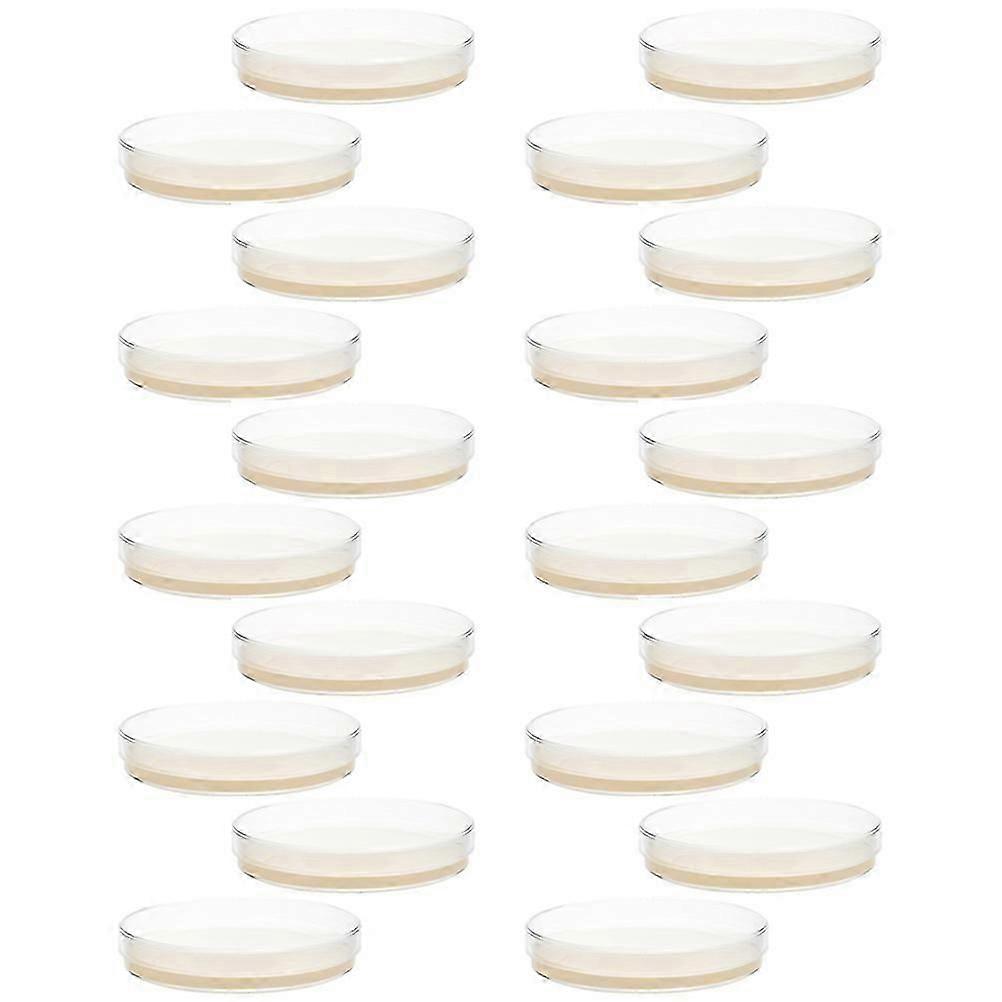 20 pz Piastre di Petri con Agar Piastre di Agar Preversate Forniture per esperimenti scientifici
