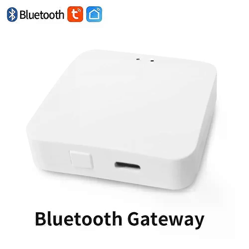 Tuya Bluetooth Smart Garden Watering Timers 2 Way Irrigation Controller Water Valve Rain Delay Programmable Controllers