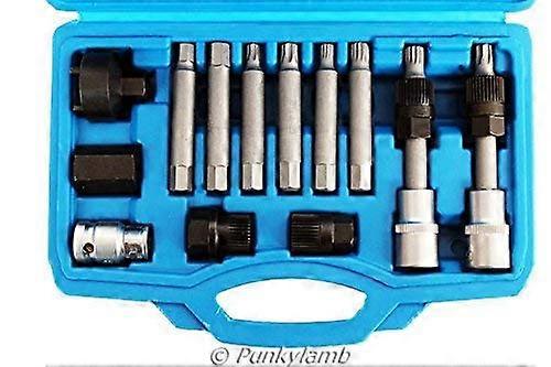 13 Pc Alternator Freewheel Pulley Removal Socket Bit Set for Garage Service, Compatible with Various Vehicle Models