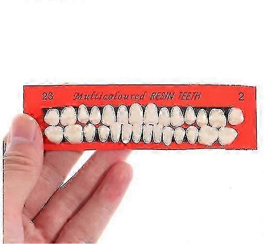 28pcs Set Universal Resi False Teeth Resin Teeth Model