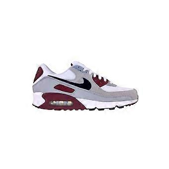 Shoes Nike Air Max 90 FN6958101