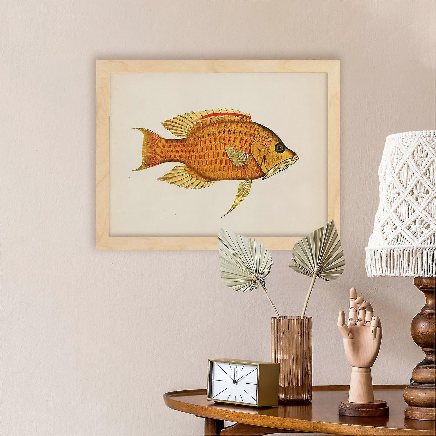 Multicolor Fish Print On Vintage Paper