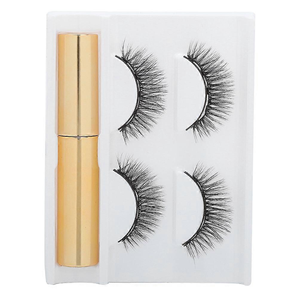 2 Pairs of 5 Magnet False Eyelash Set Magnetic Liquid Eyeliner Waterproof Lasting Eyelash Extension(2 Pairs of 3D-01 Eyelashes Eyeliner )