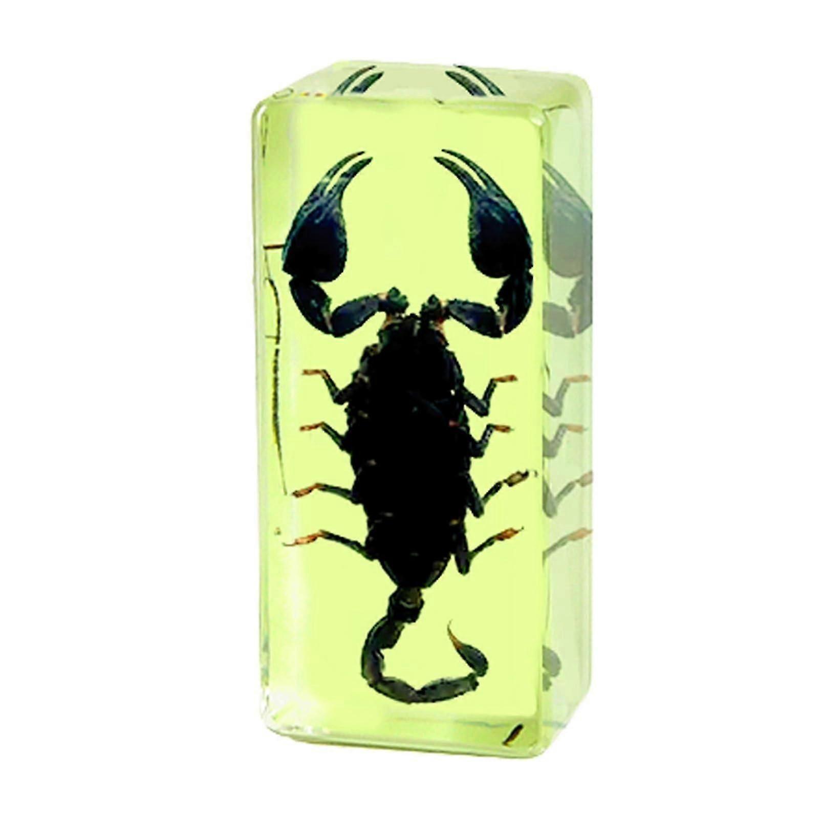 Bugs in Resin, Insects Specimen Decor, Amber Real Animal Taxidermy, for Display, Collection and Paperweights Centipede(Luminous scorpion)