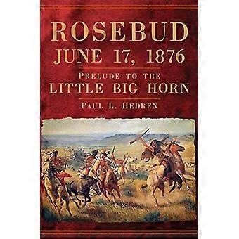 Rosebud, 17 juni 1876: forspill til Little Big Horn