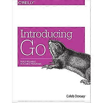 Einführung in die Programmierung in Go: ein Entwickler-Ressourcen