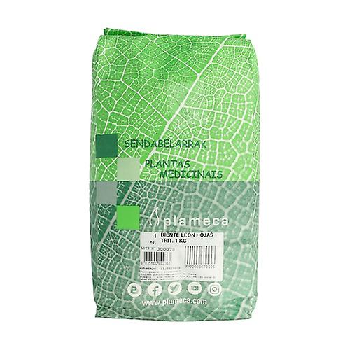 Shredded Dandelion Leaves 1 kg