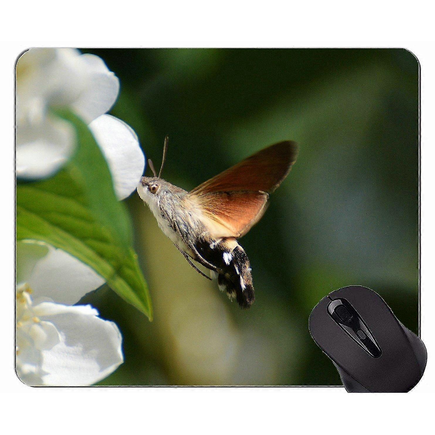 butterfly moth mousepad,hummingbird rectangle slip rubber gaming customized