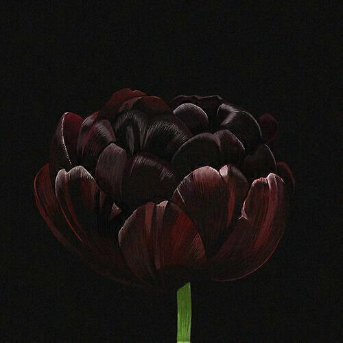 Gold Hick Formed at Depth CD (2020) NEW