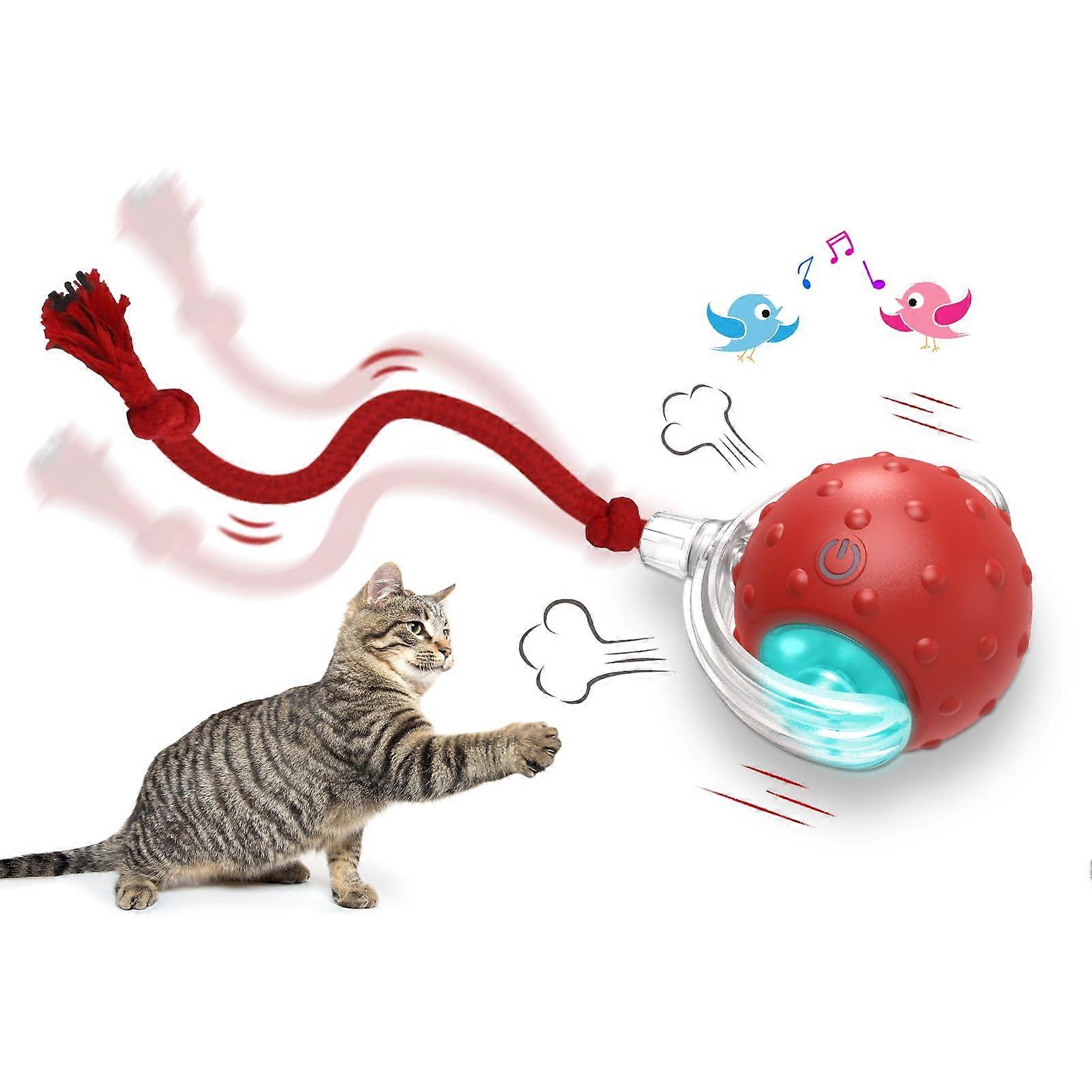 Interactive Cat Toys Ball for Indoor Cats, Fast Rolling, Chirping Sound, Motion Activated, Red Color