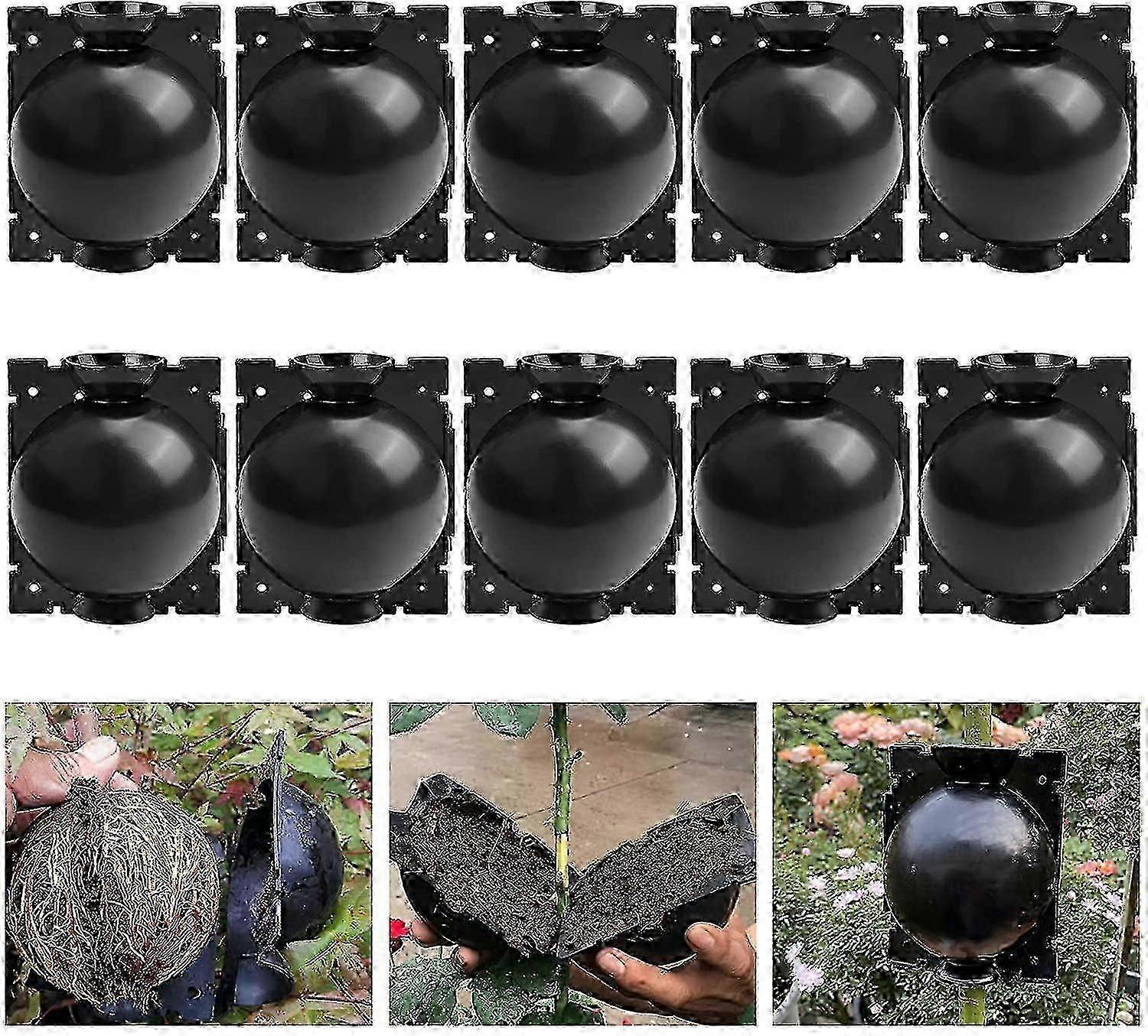 10-Piece Plant Rooting Kit with Growing Box for Propagation featuring Reasonably Priced Rooting Balls