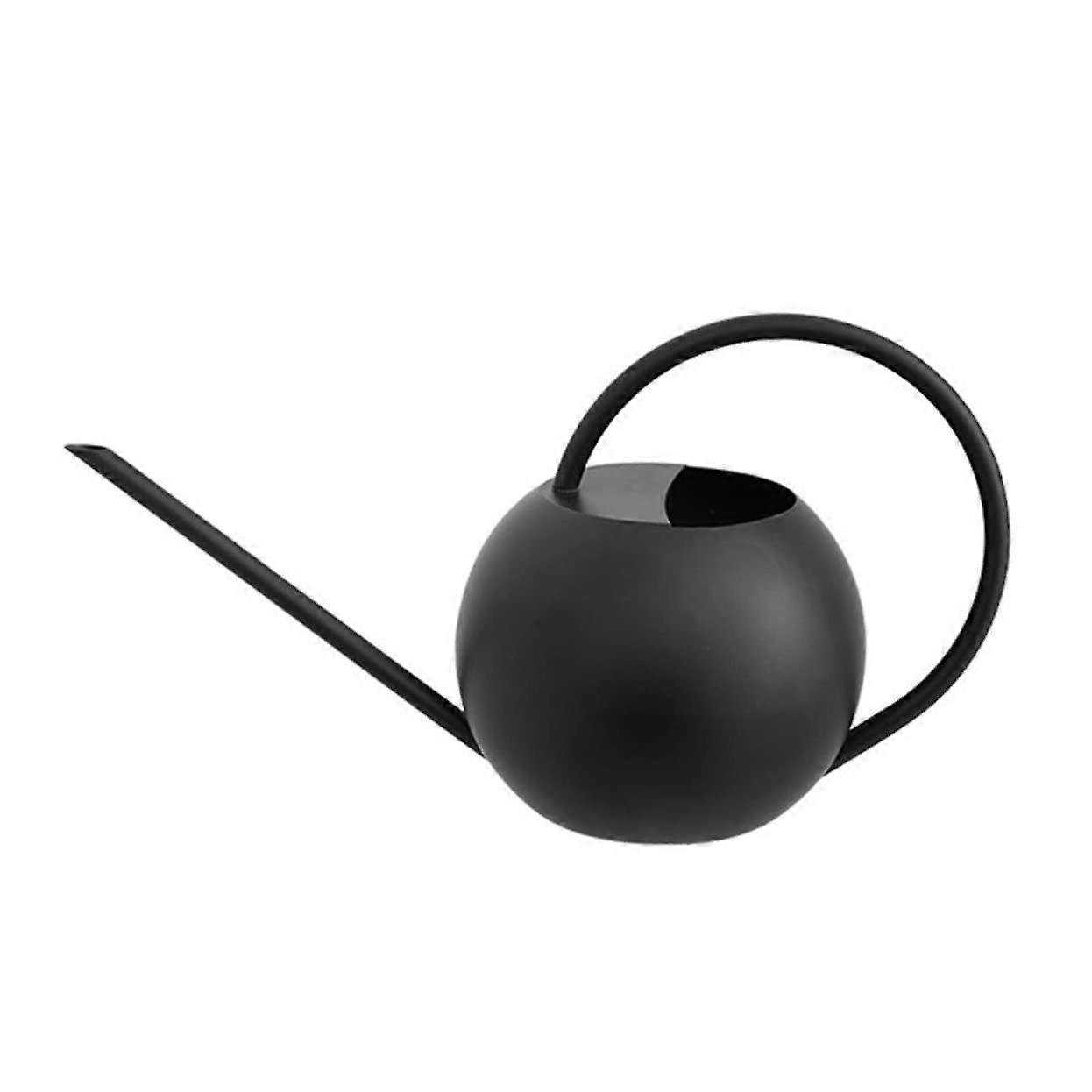 Stainless Steel Watering Can with Long Spout for Indoor Use, Black Garden Tool, 1L Capacity, Durable and Rust-Resistant