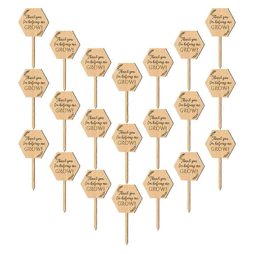 Plants Labels Wooden Plant Tags For Flowerpots Identification Rectangular 40Pcs