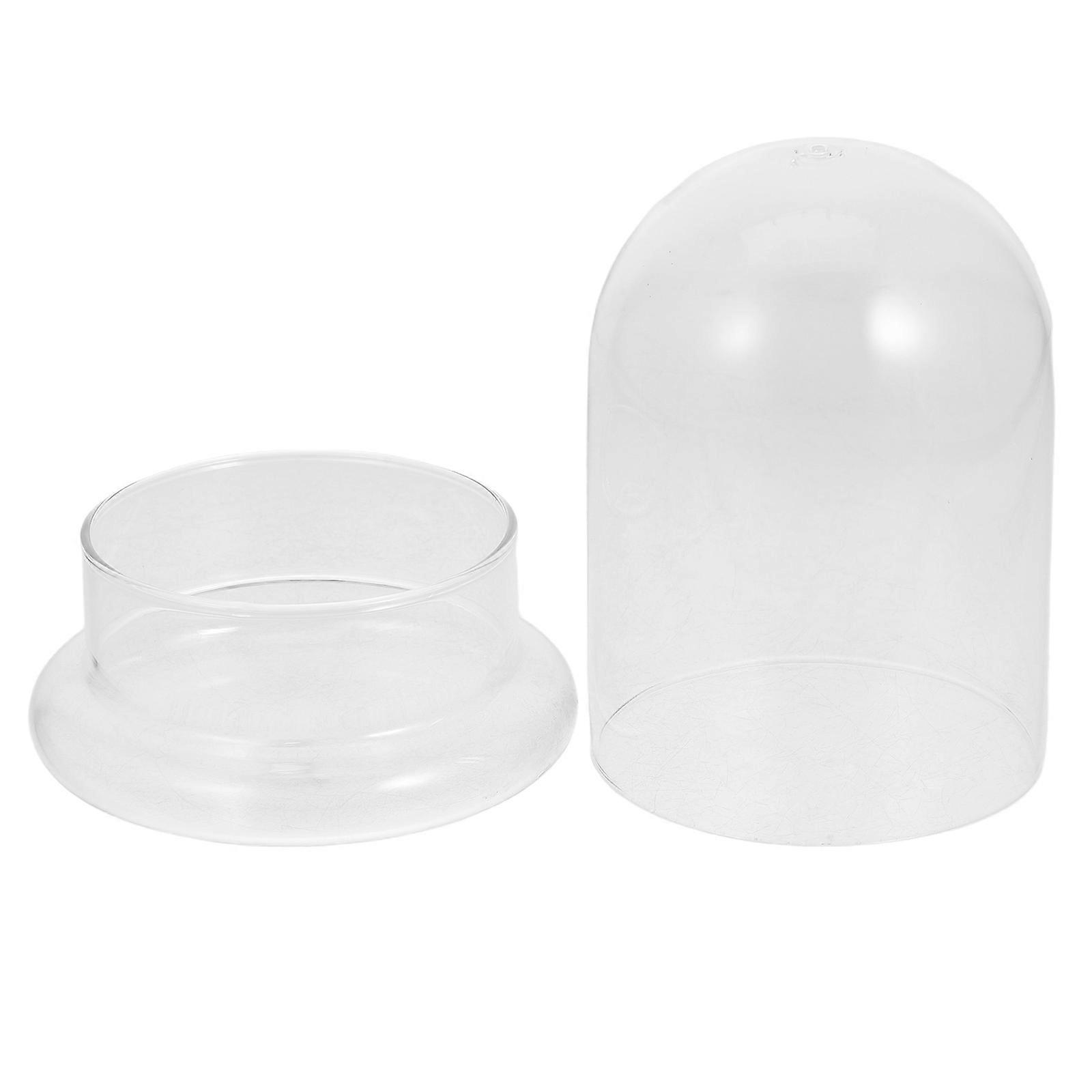 Glass Terrarium Display Dome for Desktop Succulents and Micro Landscapes – DIY Moss Bottle with Top for Creative Home Decor