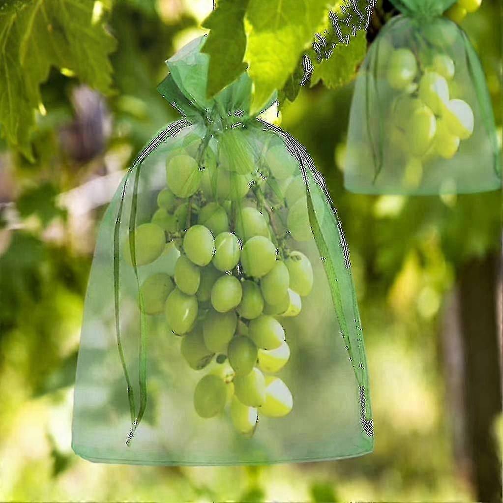 100 Mesh Bags with Drawstring for Fruit Pest Protection, 30x20cm & 23x17cm