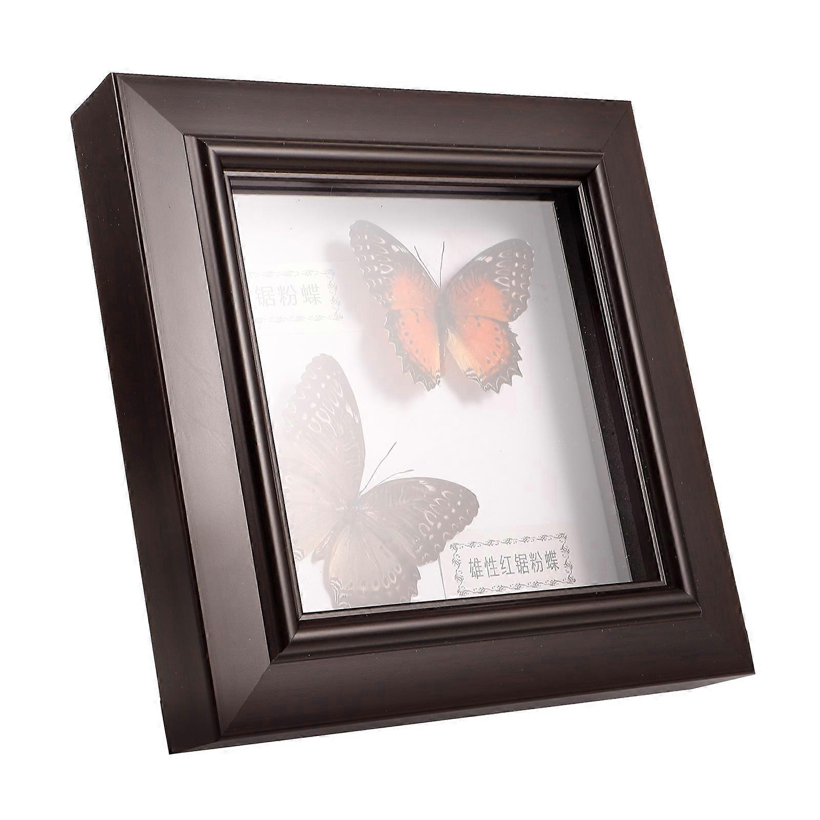 Butterfly Specimen Frame Simulation Butterfly Display for Wall Decoration 3Pcs