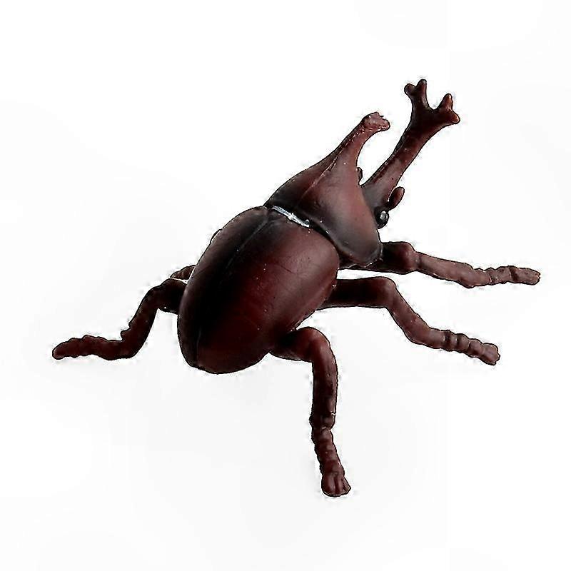 Realistic Insect Figures Ant Stag Beetle African Armor Beetle Animal Models Eonal Toys for Kids Action & Collection Playset