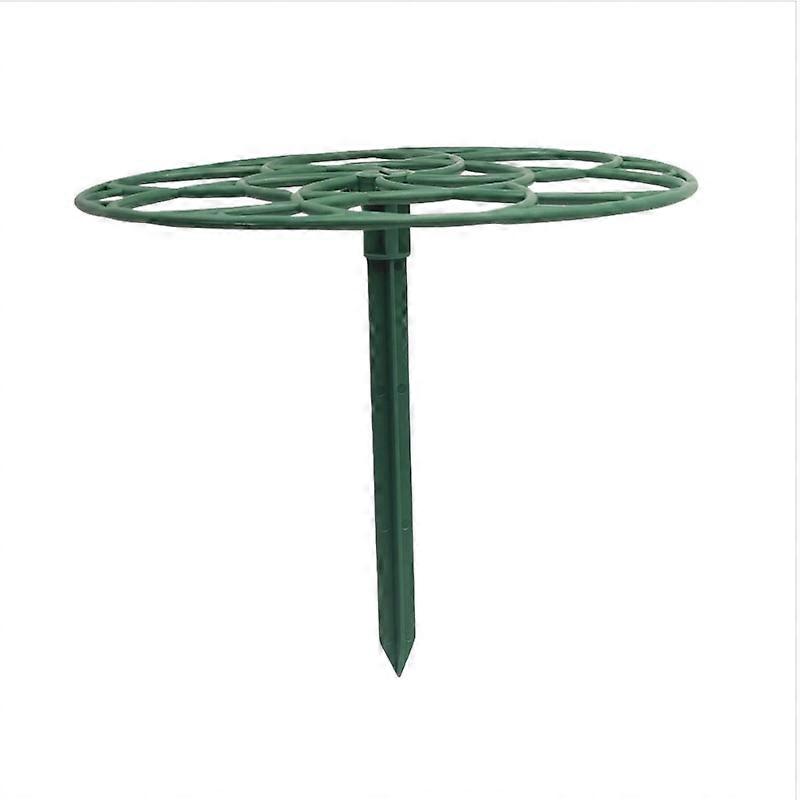 INF Solros Växtstöd 2-pack, t Plast Växtstöd