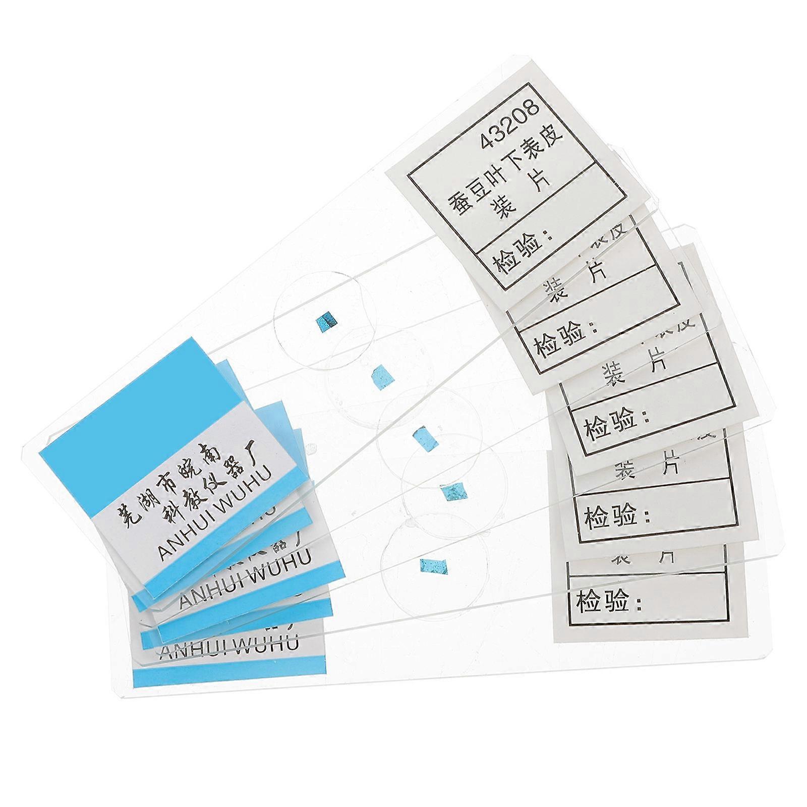 Glass Microscope Slide for Teaching 5Pcs Broad Epidermis Samples