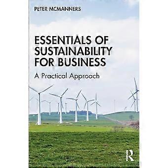 Essentials of Sustainability for Business: A Practical Approach
