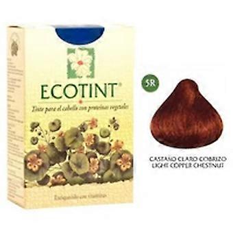 Light Copper Chestnut Hair Dye (5R) 130 ml