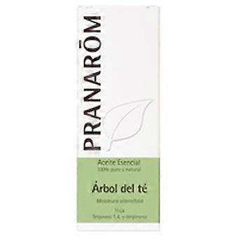 Tea Tree Essential Oil 30 ml of essential oil (Tea tree)