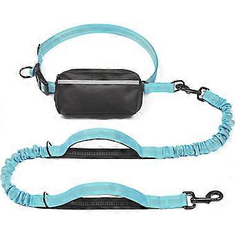 Hands Free Dog Leash with Zipper Pouch, Dual Padded Handles and Durable Bungee for Walking, Jogging and Running Your Dog (Medium, 8-25 lbs, Blue)
