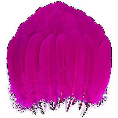 20pcs Bulk Feathers