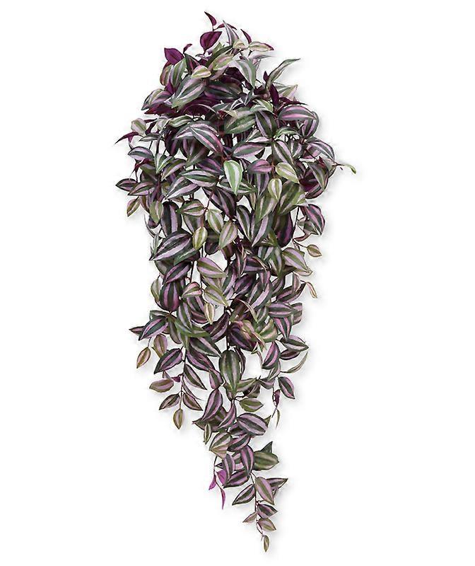 Tradescantia-riippuva kasvi (100 cm)