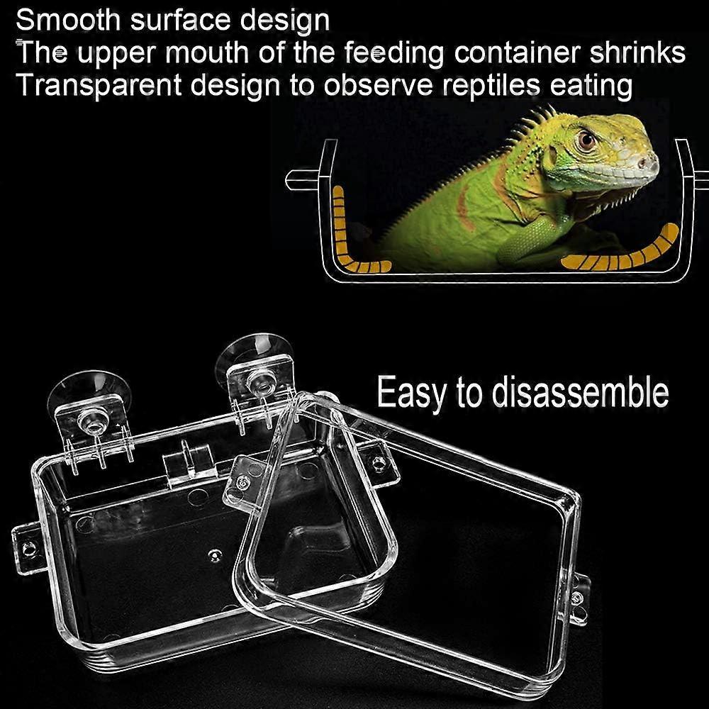 Reptile Feeder Suction Cup Anti-Escape Amphibian Reptile Food Bowl for Chameleon Turtle Gecko Snakes Iguana Lizard,2024 Ping
