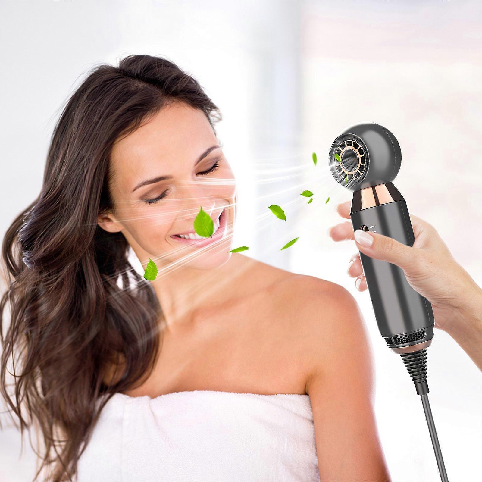 Leaf Moins Sèche-cheveux Mini Sèche-cheveux électrique Voyage Sèche-cheveux Hôtel Sèche-cheveux mural