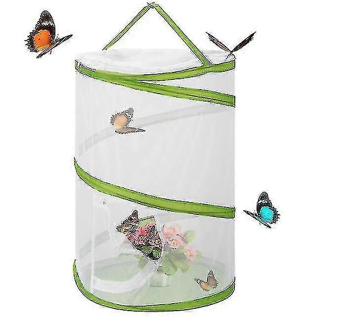 Cușcă habitat insecte și fluturi