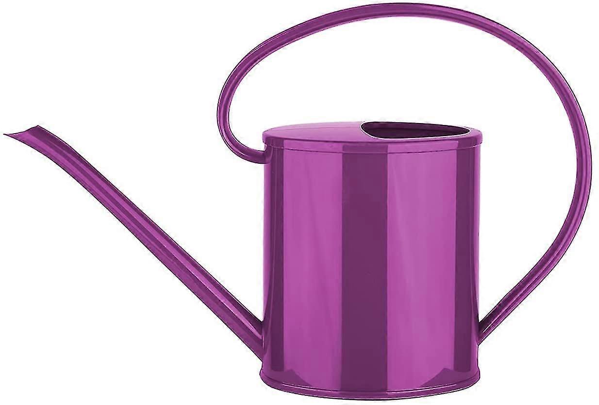 Small Watering Can For Indoor Plants With Curved Handle 1.2l Suitable For e And Garden