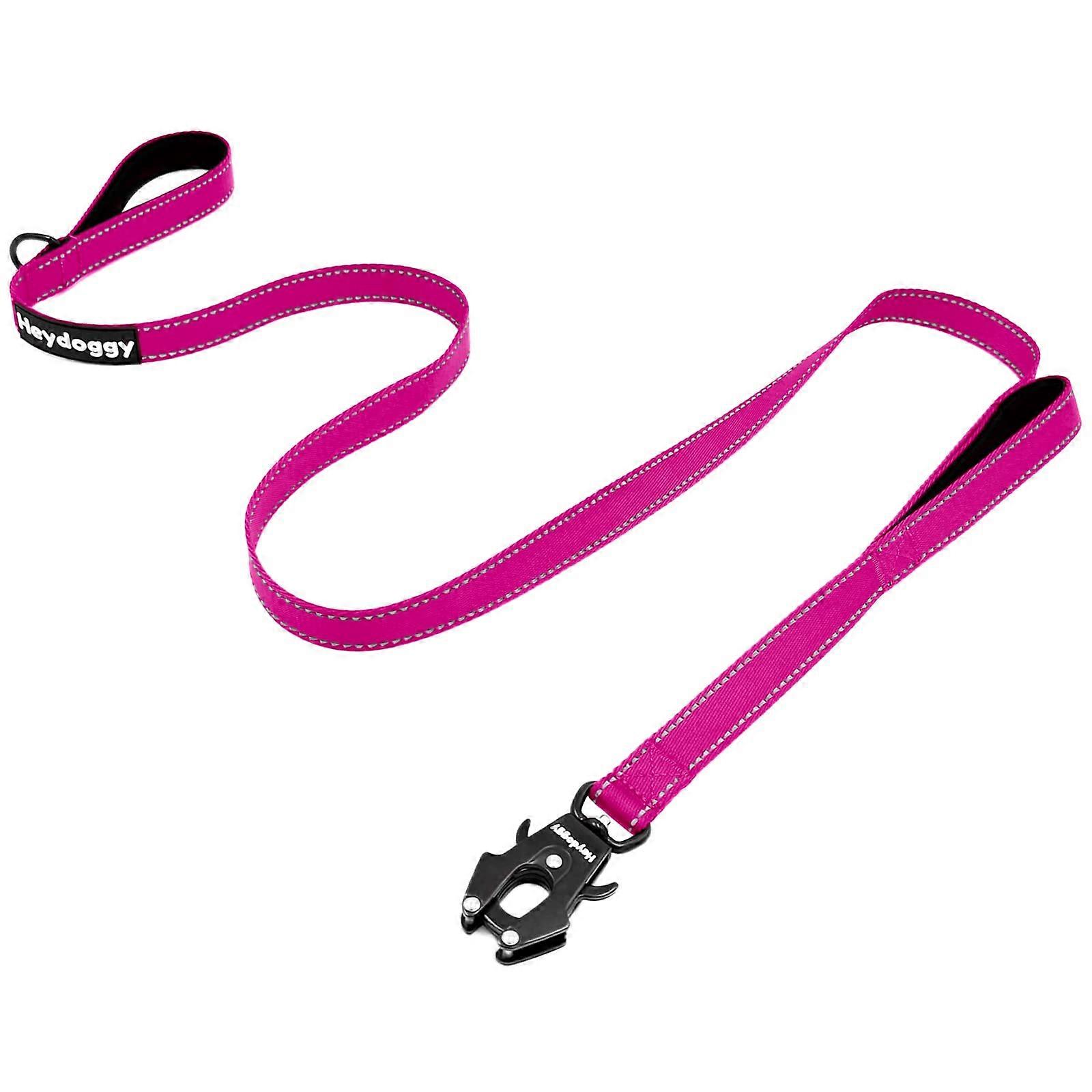 Strong Dog Leash 5ft Reflective Nylon Training Leash with Soft Padded Handles for Large and Medium Dogs