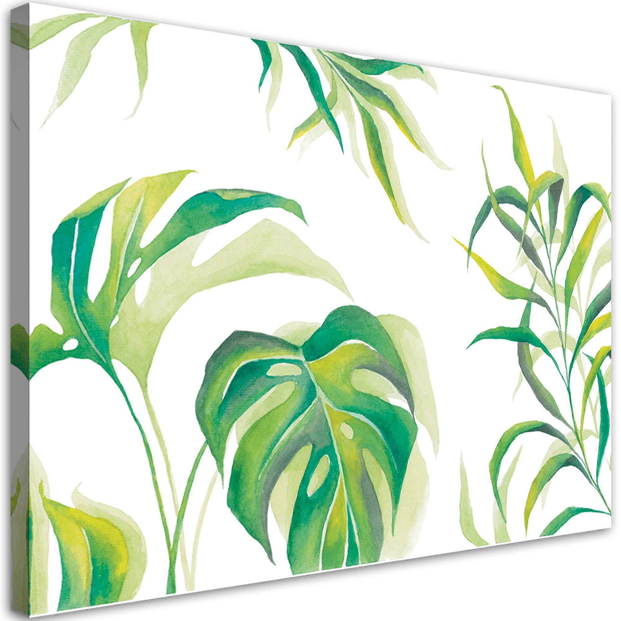 Impression sur toile, feuilles de Monstera - 100x70