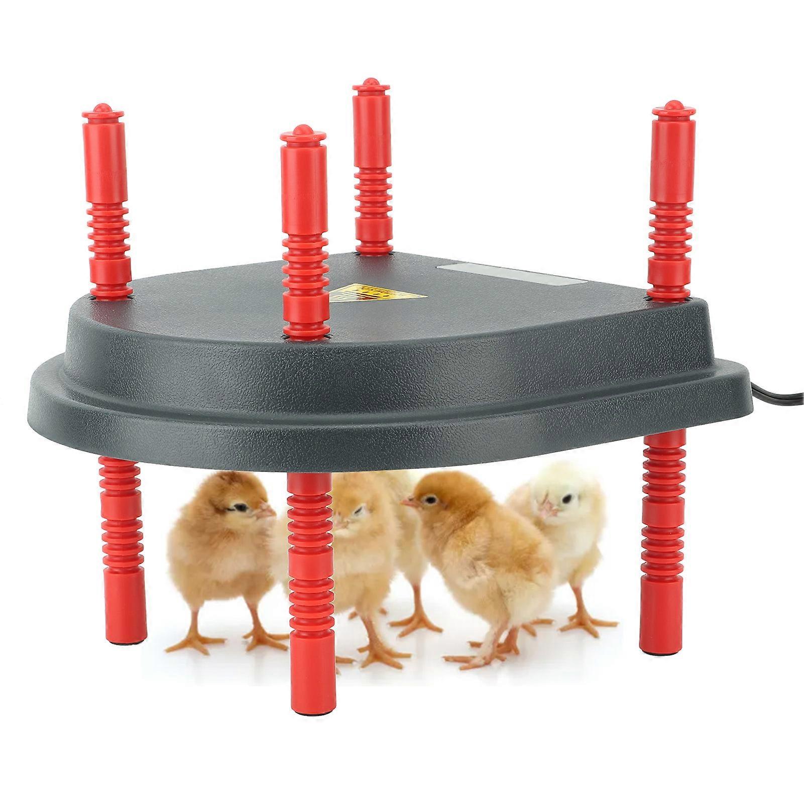 Chick Heater Brooder Plate 13W Chick Brooder Heating Plate Chicken Warmer for Baby Chicken Duckling US Plug 110V