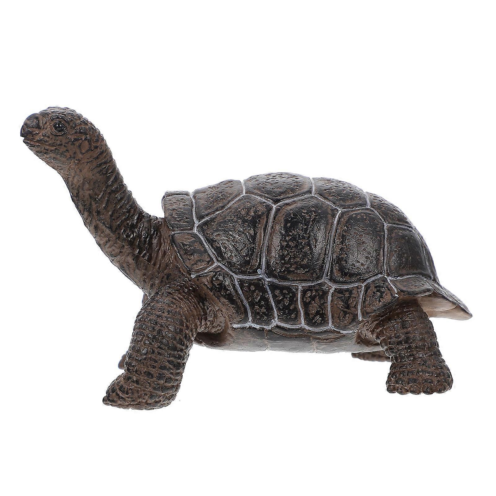 Simulation Animal Model Plastic Tortoise Model Kids Kindergarten Black Science Model 1Pack