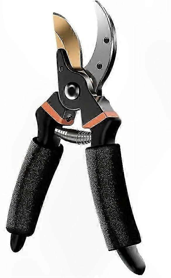 Professional Garden Shears for Pruning, Precision Cutting Tool with Durable Black Design