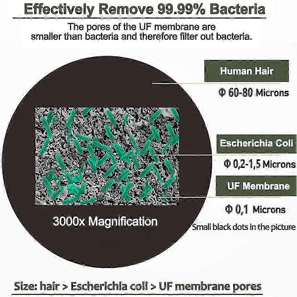 Portable water filter and water purifier with carbon filter