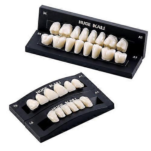 28 Piece Acrylic Resin Denture Teeth Set Shade A1 T8 Full Arch Coverage Durable Replacement