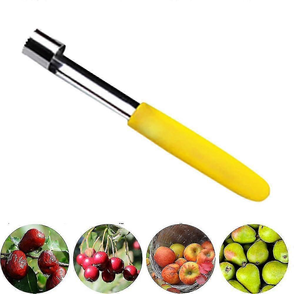 Corer,premium Stainless Steel Remover/puller,hand-held Kitchen Tool - Great Handle - 1 Pack