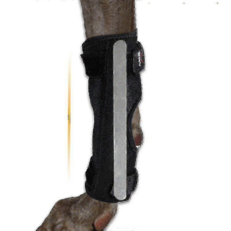 الساق الخلفية هوك دعامة مع المعادن الربيع شرائط الكلب الساق دعامة للساق الخلفية ، هوك والكاحل دعم الكلب الخلفي الساق دعامة 1PCS