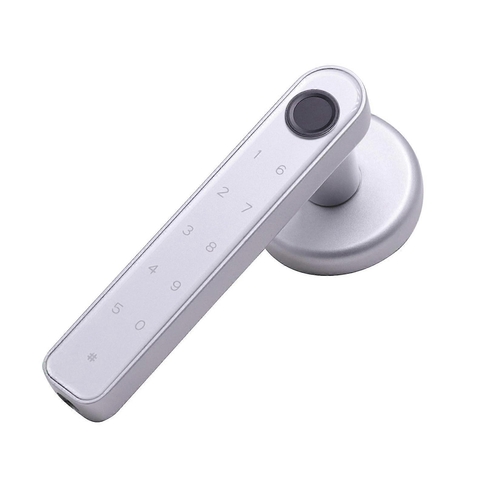 Smart Fingerprint Door Lock Biometric Door Lock With Handle Wifi App Control Fk