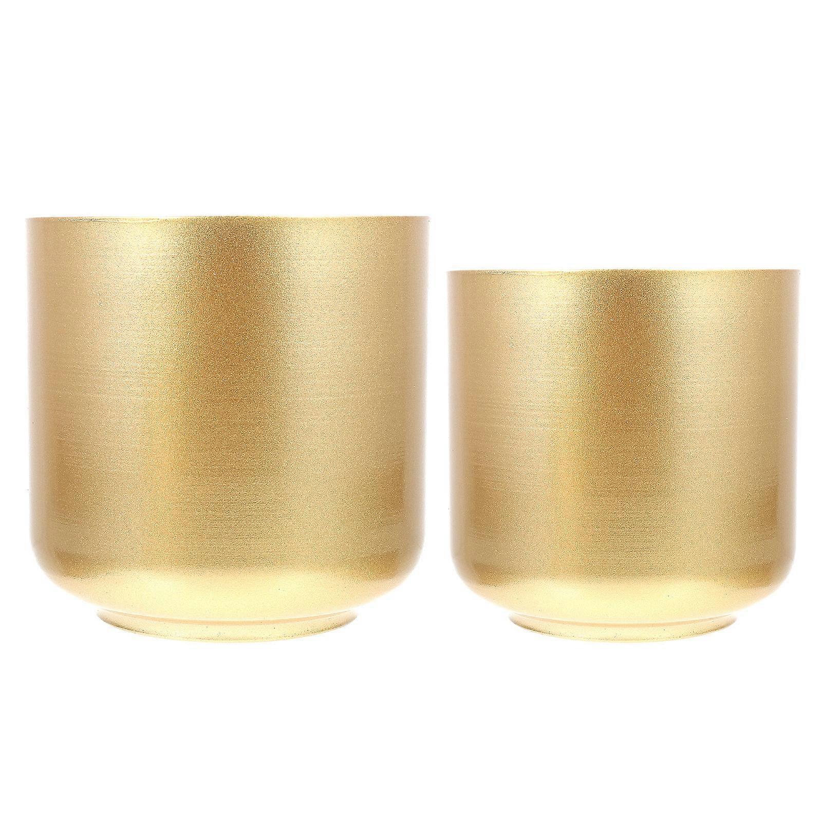 Here's a polished and engaging product description based on your input:
 
**2pcs Iron Planter Pot – Modern Style Metal Flower Pots for Succulents &