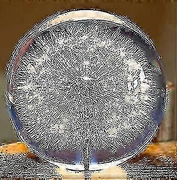 タンポポドリームボール文鎮クリスタルウィッシングボールユニークなタンポポ文鎮パーフェクトギフト (9)