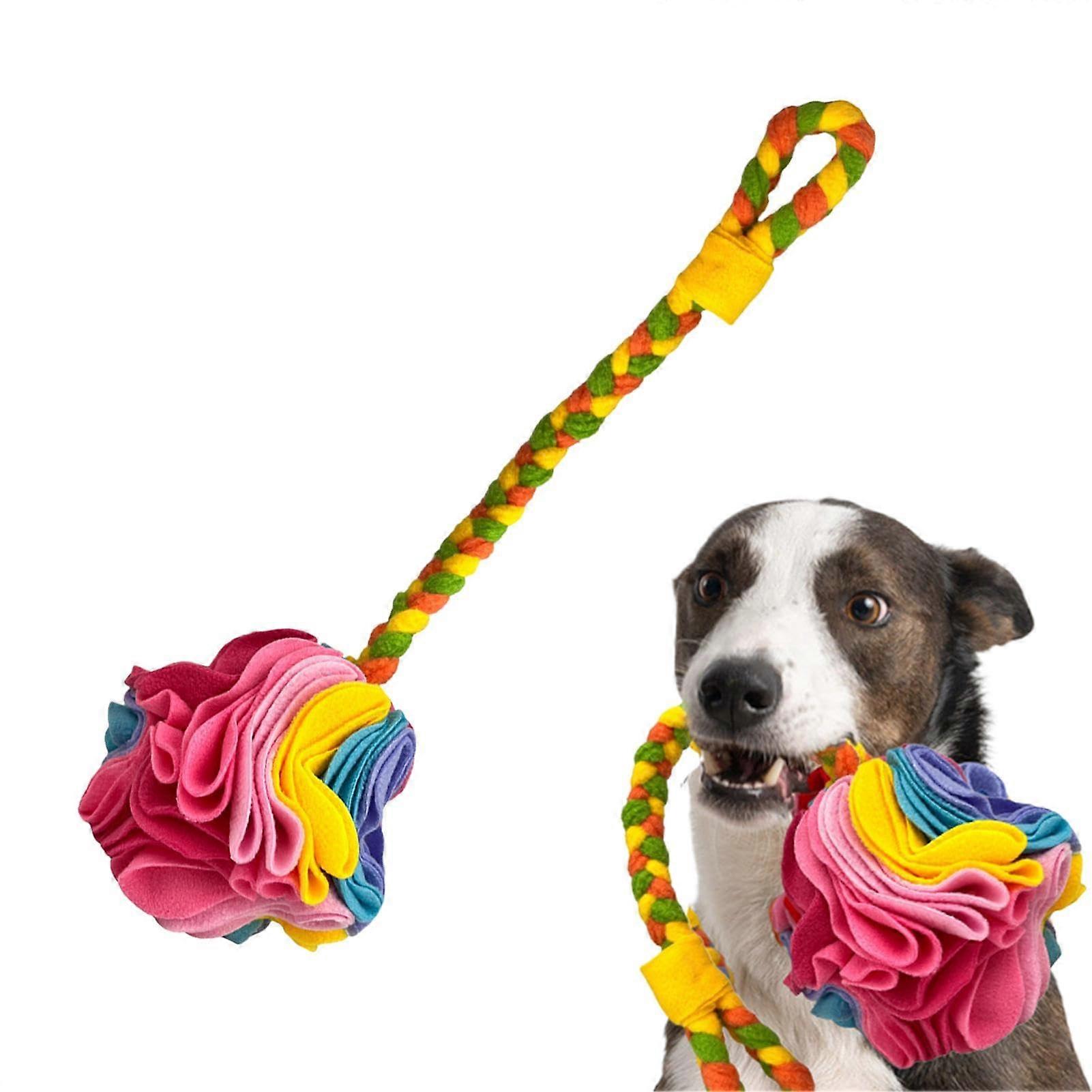 Snuffle Ball for Dogs, Large Breeds, Interactive Snuffle Toy, Washable, Safe Puzzle Toy