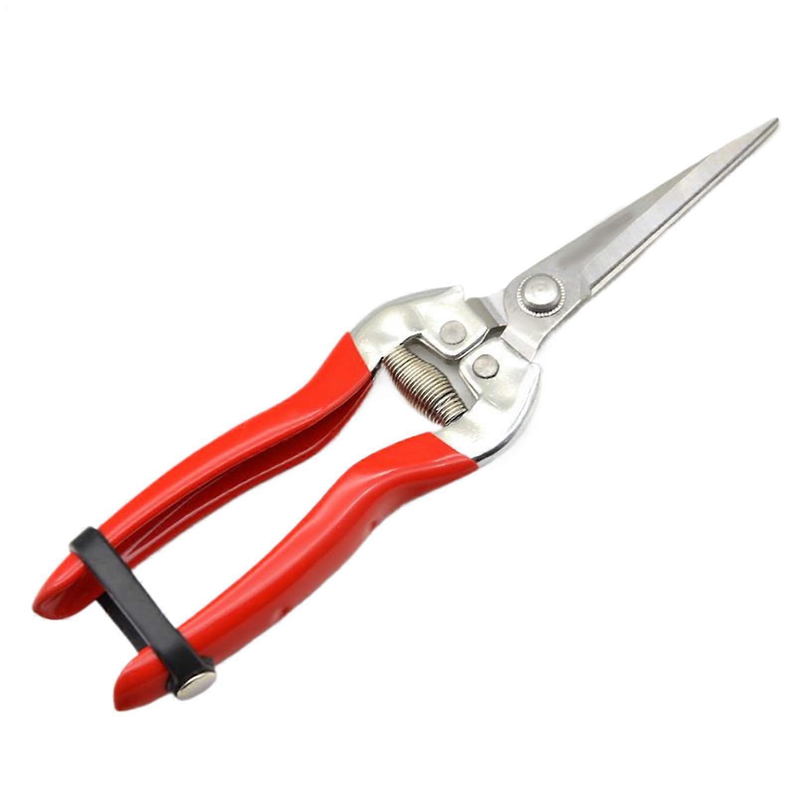 Garden Shears Stainless Steel Scissors for Bonsai, Fruit Trees, Citrus Plants - Durable Harvesting Tool with Sharp Blade