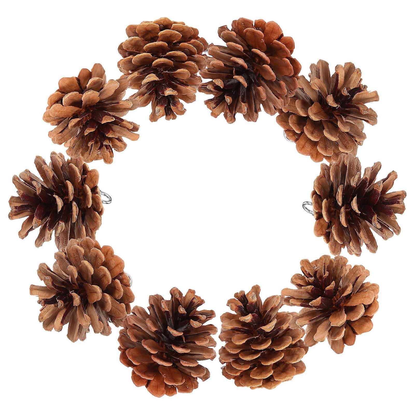 Brown Pine Cone Bird Chewing Toy Foraging Bite-Resistant 50Pcs